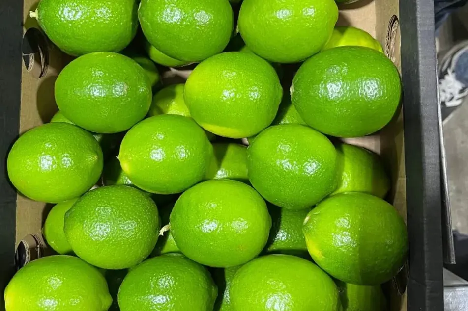 Citron vert — Soussprod
