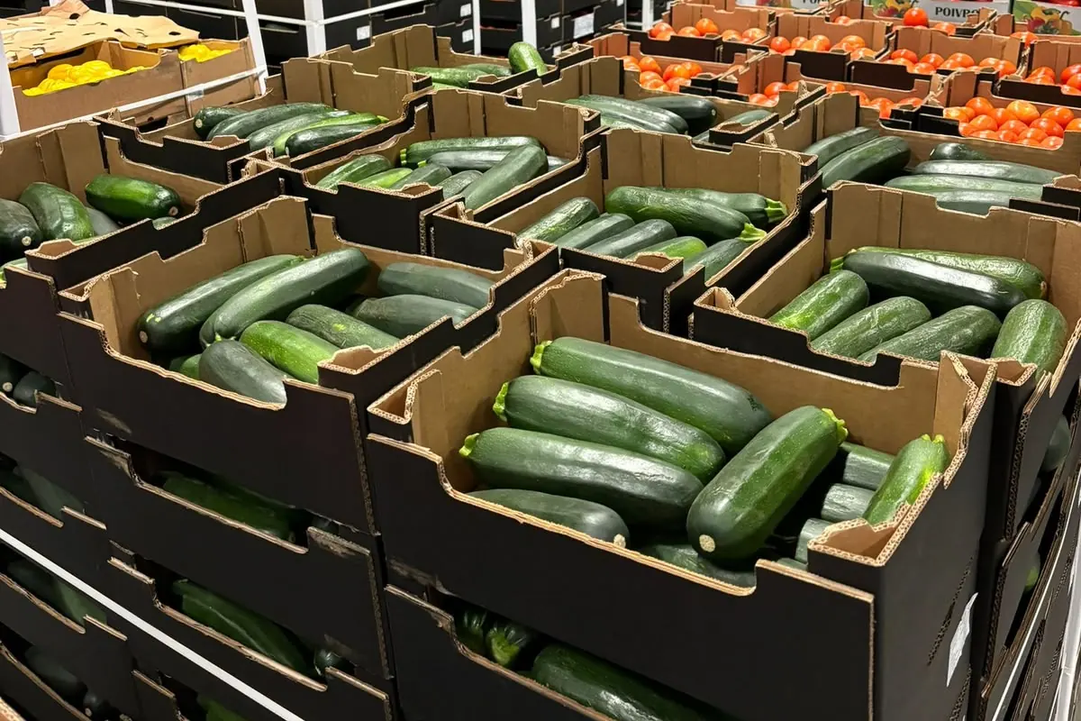 Courgette verte — Soussprod