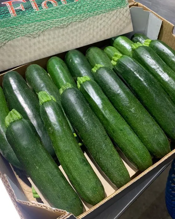 Courgettes vertes en carton 5 kg