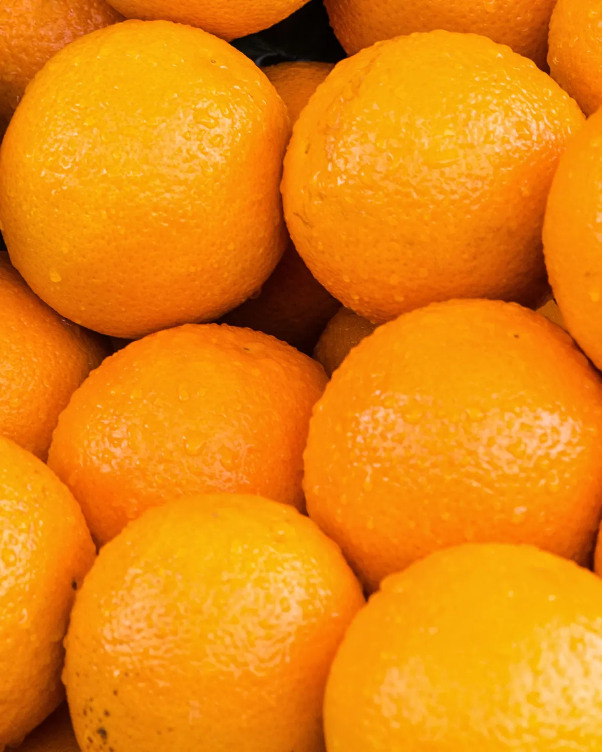 Oranges fraîches