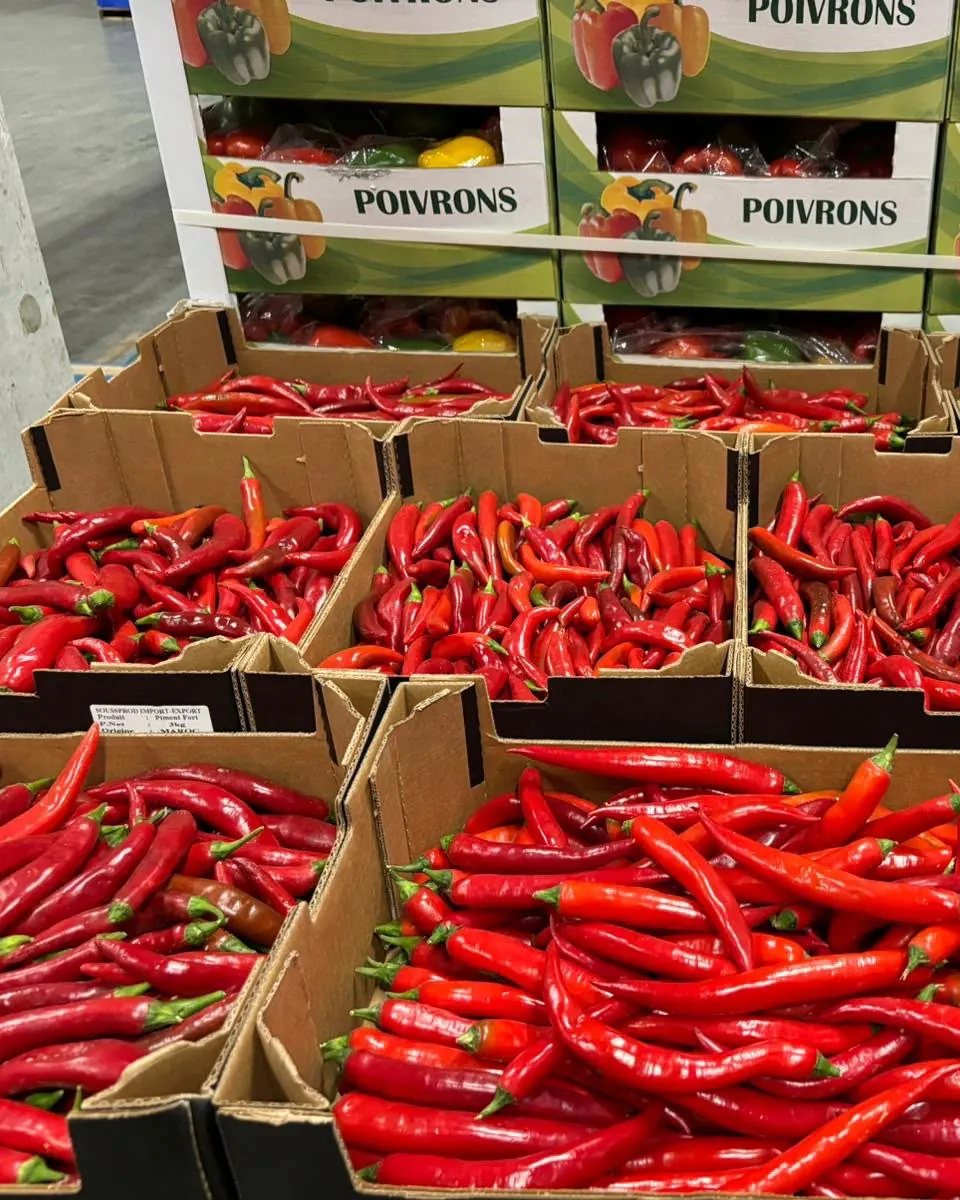 Piments forts rouges en cartons étiquetés Soussprod, origine Maroc