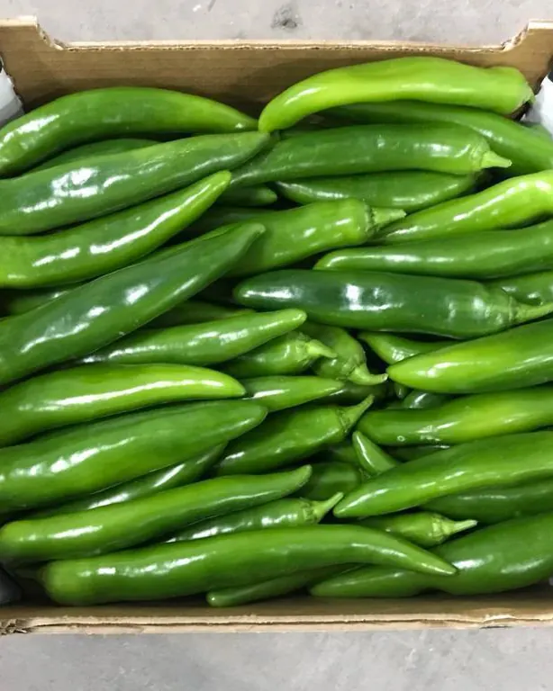 Poivrons corne verts en carton