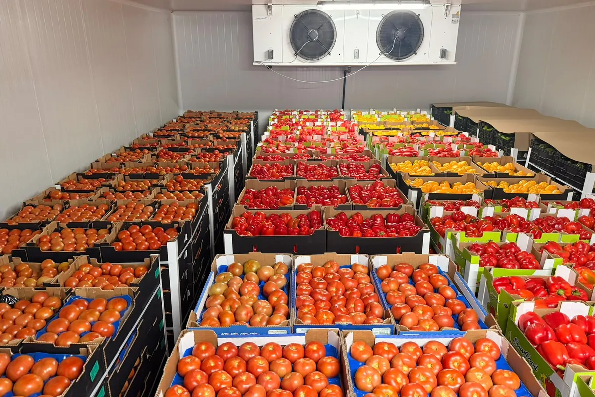Tomate ronde — Soussprod