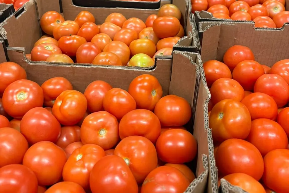 Tomate ronde — Soussprod