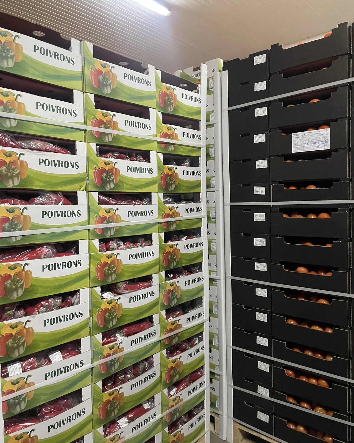 Cartons de poivrons stockés en chambre froide